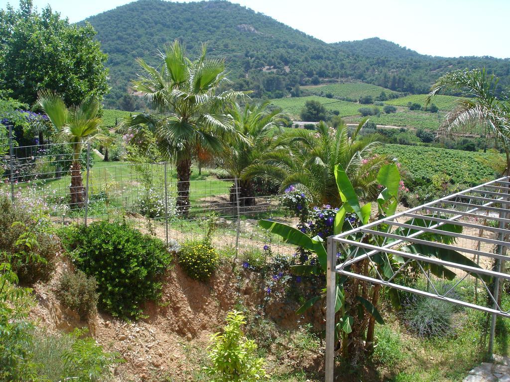 Bel Appart Style Vintage Vue Mer La Londe-les-Maures Szoba fotó