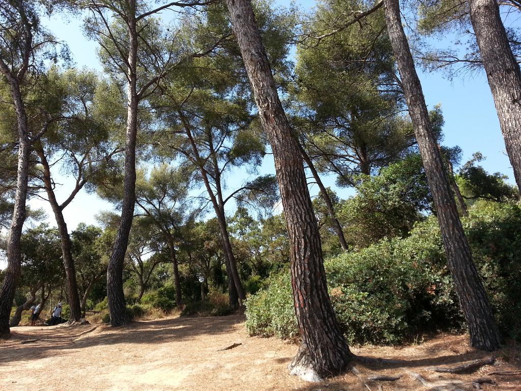 Bel Appart Style Vintage Vue Mer La Londe-les-Maures Szoba fotó